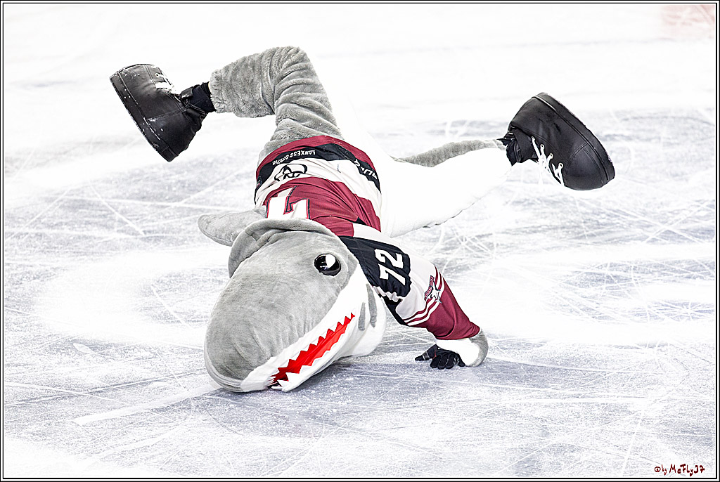 PENNY DEL;  Koelner Haie - Schwenninger Wild Wings; Koeln, 21.03.2021